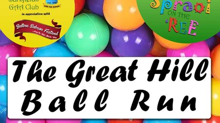 Ballina Salmon Festival: have a ball at unique Ardnaree event