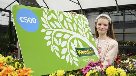 'Lovely project' - Mayo native scoops prize for stand-out creation