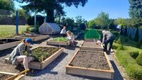 Local Notes: Volunteers at work in Charlestown Organic Community Garden.