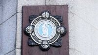 Trainees rejected after first being admitted to Garda College