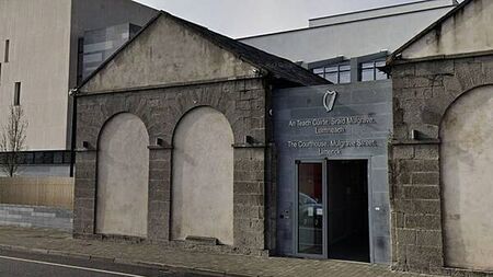 Man (29) told gardaí that 'thoughts in his head' led him to slash victim's neck