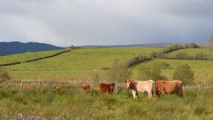 The earliest farmers of the Ox Mountains The earliest farmers of the Ox Mountains