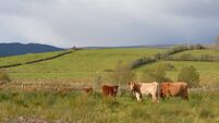 The earliest farmers of the Ox Mountains