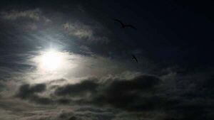 Thunderstorm warning issued for 14 counties Thunderstorm warning issued for 14 counties