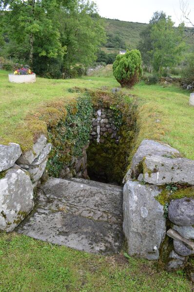 St Attracta's Well at Glenavoo has been a popular pilgrimage site for generations. Picture: Pat McCarrick