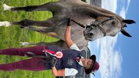 Local Notes: Castle Gate Stud, Swinford, had winning 2 year old Irish Draft Filly at Louisburgh Show.