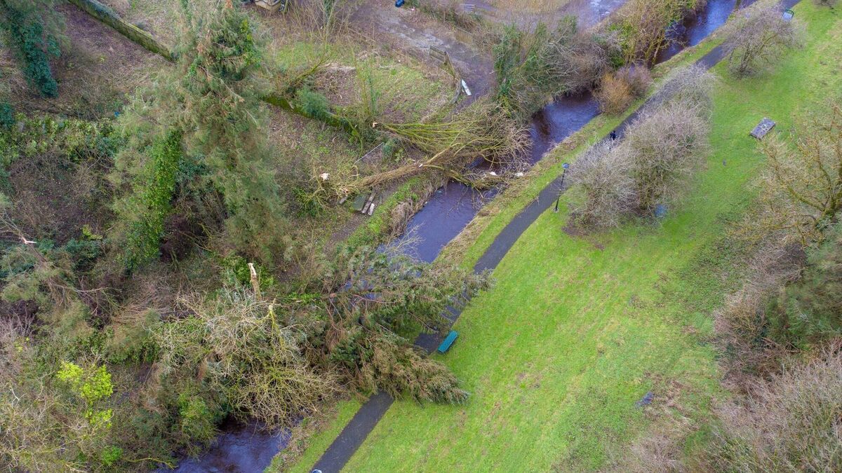 Week-long road closure expected as part of ongoing Storm Eowyn repairs