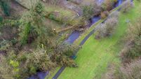 Week-long road closure expected as part of ongoing Storm Eowyn repairs