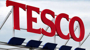 Tesco gets injunction over horses on land