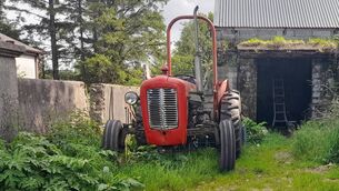 <p>It has been said that no other tractor has done more to feed the people of the world than the Massey Ferguson 35.	Picture: Pat McCarrick</p>