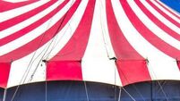 Mayo councillors blow their tops over unsuitable 'Big Top' location