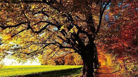 Poll: Is August the start of autumn or the last month of summer?