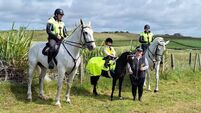 Local Notes: Daniel O'Hara, Ballina, is a new recruit at Erris Agricultural Show's fancy dress class.