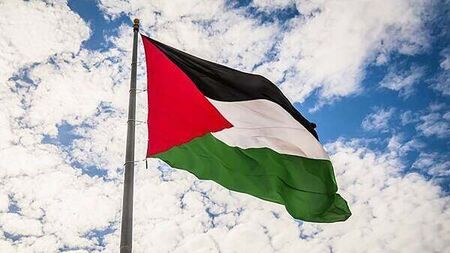 Woman (74) arrested in Belfast for wearing Palestine Action T-shirt released