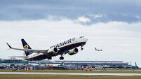 Dublin Airport flights suffer 278 bird strikes despite €600,000 spent on ‘scaring’ measures