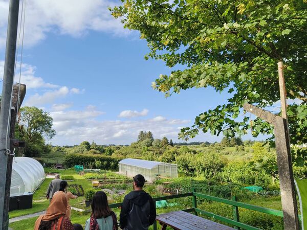 The community garden is a space where people from different backgrounds come together. The community garden is a space where people from different backgrounds come together.