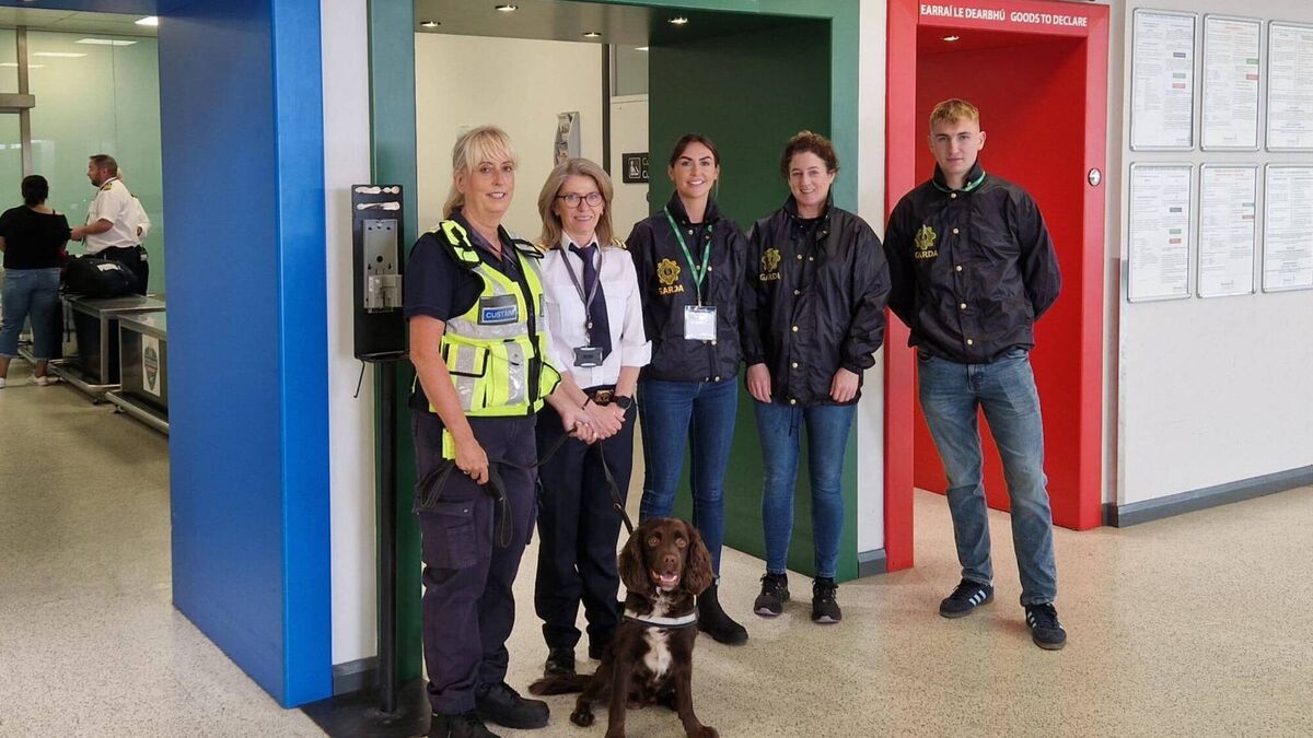 Toby the 'Search Dog' helps colleagues at Ireland West Airport Knock