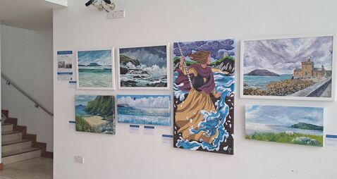 Stunning new art exhibition opens in Mayo