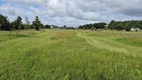 Biodiversity plans for town park in Mayo