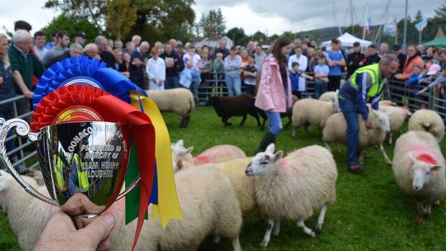 <p>The Cloonacool Sheep Festival is one of several events that bring the whole community together. Picture: Pat McCarrick</p>