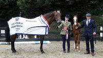Local Notes: Swinford success at Dublin Horse Show