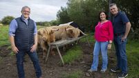 Farm succession is now 'a big concern'