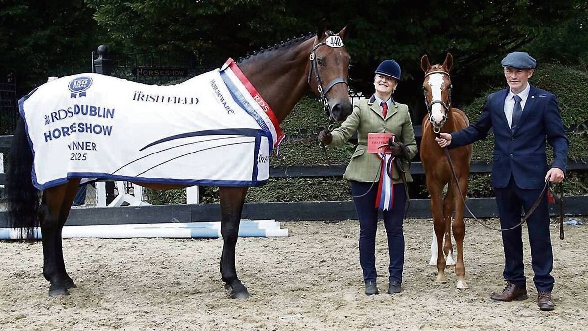 Congratulations: Big Mayo win at Dublin Horse Show 2025