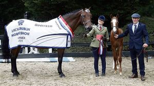 Congratulations: Big Mayo win at Dublin Horse Show 2025