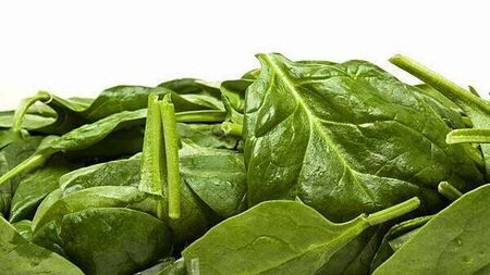 Spinach and mixed leaves products recalled over listeria fears