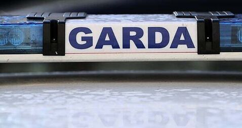 Woman (70s) dies after being stung by bees in Co Mayo