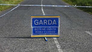 Five charged with new 'criminal organisation' offences over west Dublin branding attack