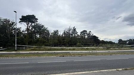 Search for missing boy feared dead continues in Dublin