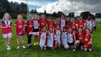 Local notes: Foxford seeks shelter from the rain
