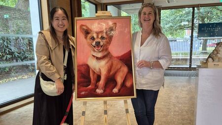 Ballina rescue dog wins custom portrait