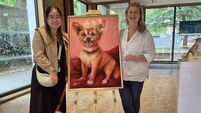 Ballina rescue dog wins custom portrait