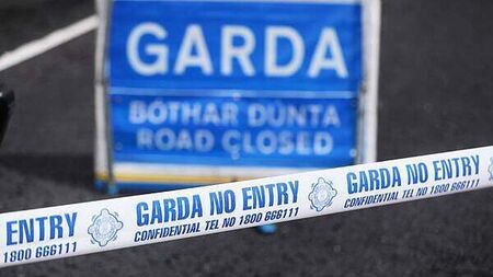 Man (20s) dies after crash in Co Galway