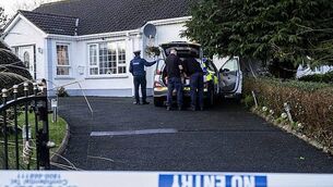 Boy (17) in court over violent clash at Coolock asylum centre protest