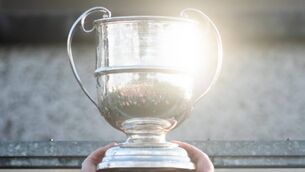 <p>Four remain in the race for the Moclair Cup. Picture: INPHO/Evan Logan</p>
