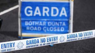 40% of large businesses in Ireland lost employees due to diversity policy changes