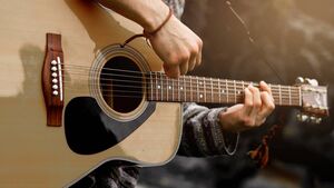 Renowned US musician to perform limited capacity show in Ballina