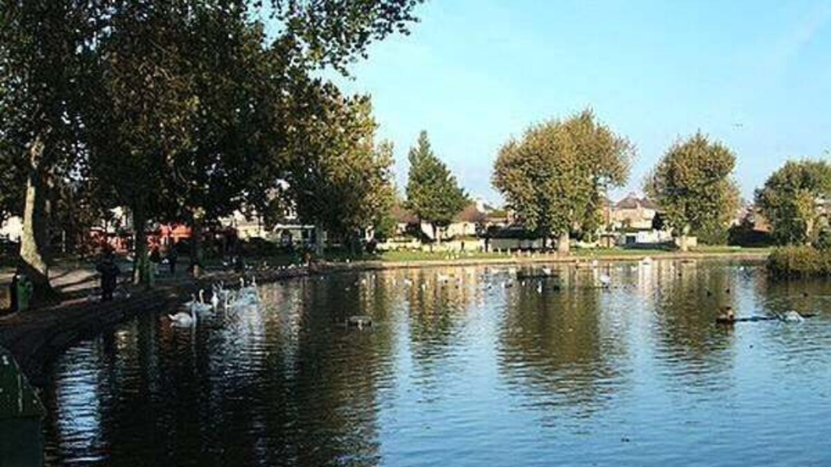 Bird flu outbreak at the Lough wildlife sanctuary in Cork
