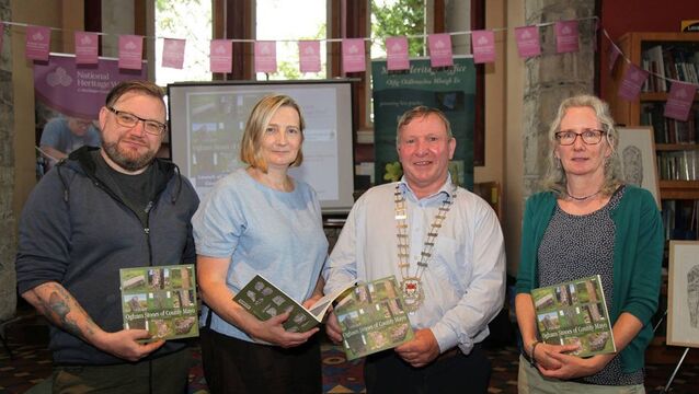 New book on Mayo's historic ogham stones
