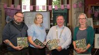 New book on Mayo's historic ogham stones