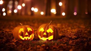 New Halloween experience coming to Ballina