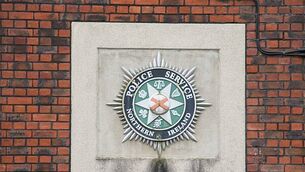 Alleged €380k cannabis smuggler remanded in custody after airport arrest