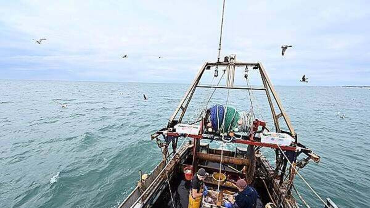 New fishing rules for trawlers