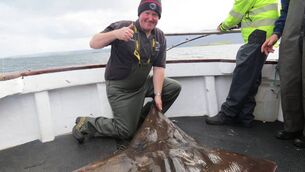 <p>Ciaran McGowan aboard The Finnaun with his 185lb skate which he caught during the recent Newport SAC teams competition. </p>
