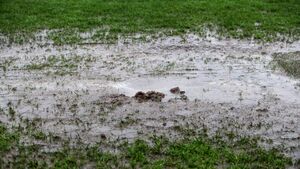 Mayo GAA make decision on weekend’s fixtures amid Storm Amy