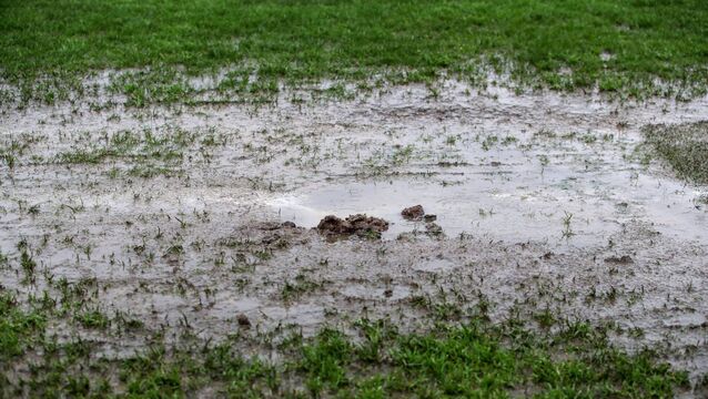 <p>All venues that were due to host this weekend's Mayo GAA championship semi-finals have been deemed unplayable at present. </p>