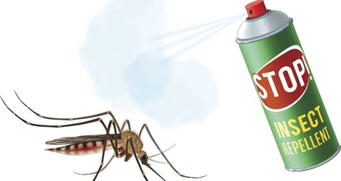 A transatlantic tale of midges and mosquitos A transatlantic tale of midges and mosquitos